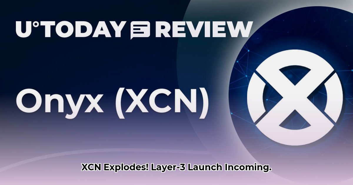 xcn-crypto-news